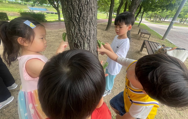 농소유치원 숲체험 활동