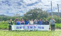 지례면 바르게, 추석맞이 풀베기 실시